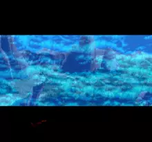 Image n° 4 - screenshots  : Legend